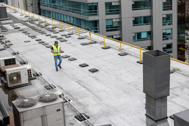 Best Asphalt Shingle Roofing  in Shanor Northvue, PA